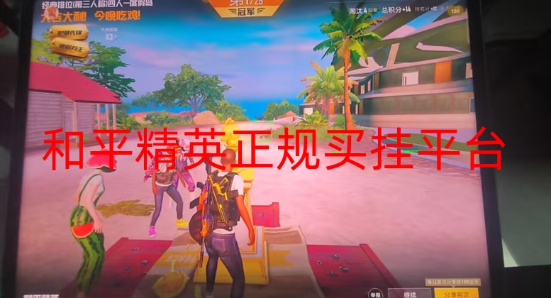 和平精英买挂正规平台-和平精英自瞄辅助永久免费